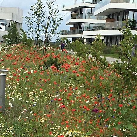 Bo Med Stil Og Udsigt Til Aarhus Lystbadehavn Apartment Ngoại thất bức ảnh